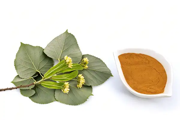 Tilia Extract