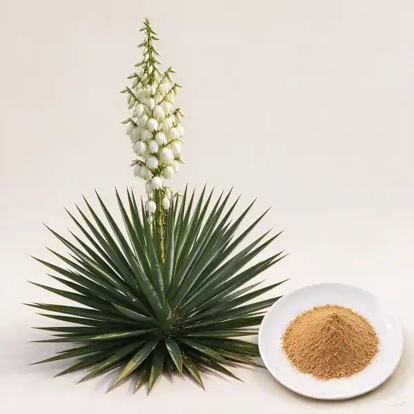 Yucca Extract