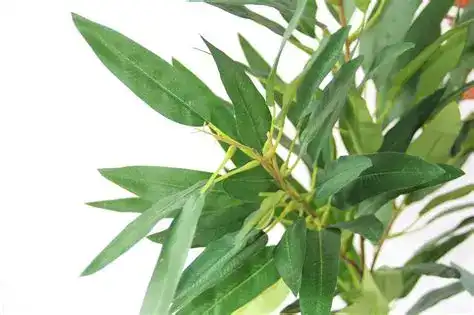 blog-1-1