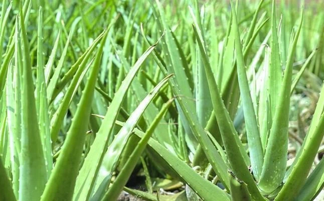 blog-1-1