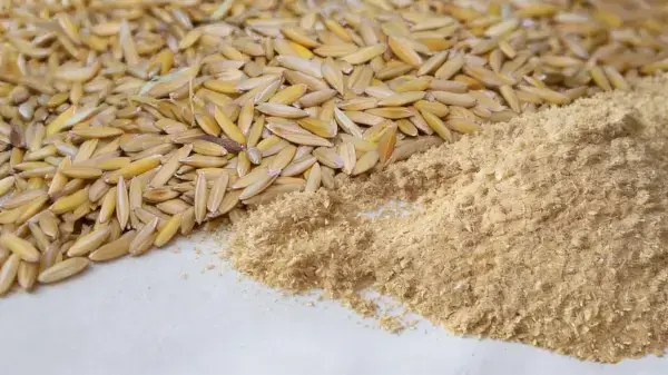 Rice Bran Extract