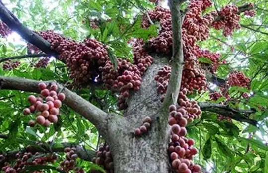 blog-1-1