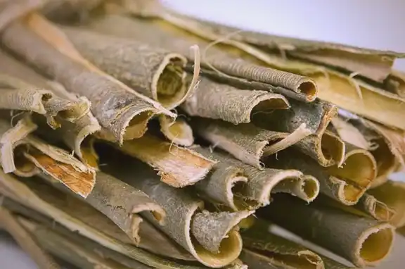 White Willow Bark - A Natural Pain Reliever and Modern Applications