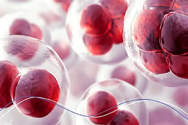Can Astaxanthin Powder And Oil Boost Your Antioxidant Defense?