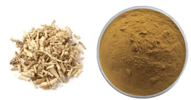 What Are the Key Benefits of Couch Grass Rhizome Extract?