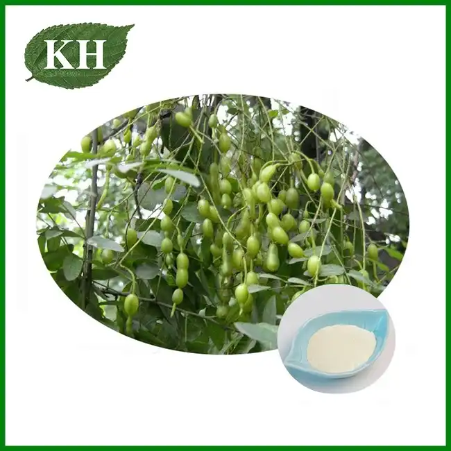 Sophora Fruit Extract