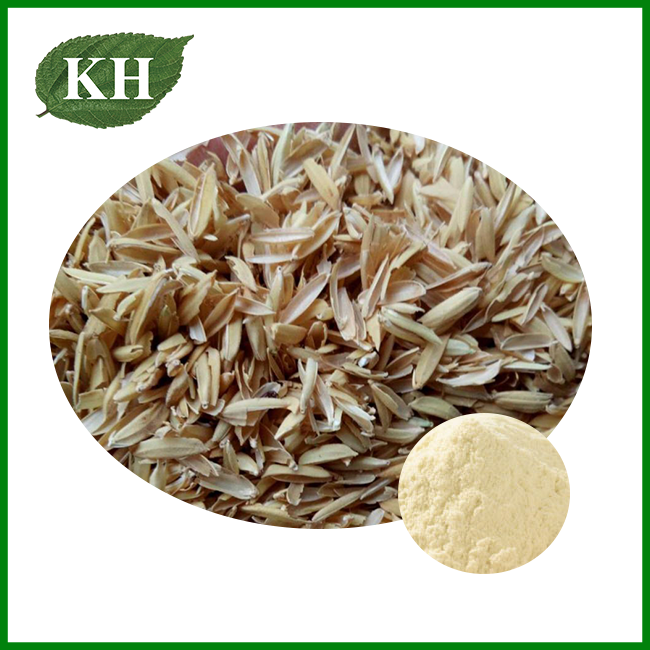 Rice Bran Extract Powder