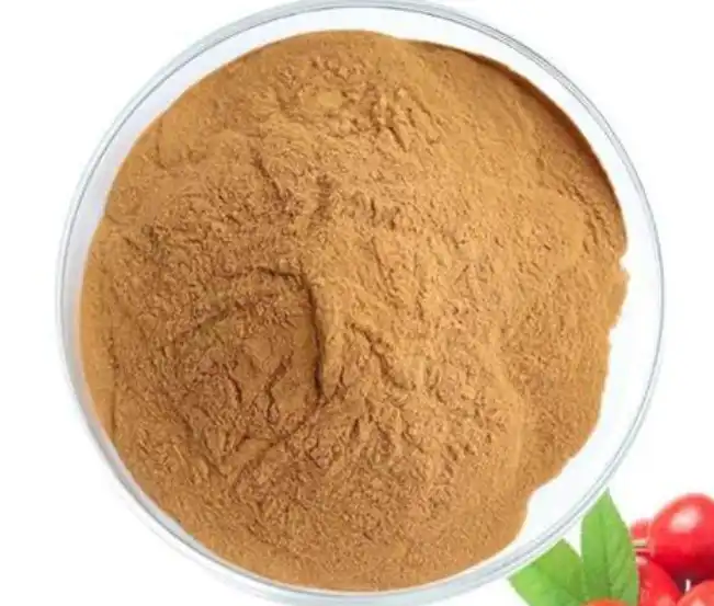 Rose Hip Extract Powder